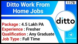 Ditto Work From Home Jobs | Online Earn Money Jobs | Customer Service Job | Online Jobs