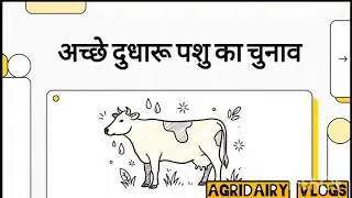 अच्छे दुधारू पशु का चुनाव कैसे करें #cowmilk #dairyfarm #cowfarming 