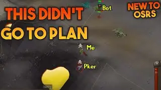 Hunting Green Dragon Bots Only To Get Hunted :( - OSRS Wildy Noob Pking