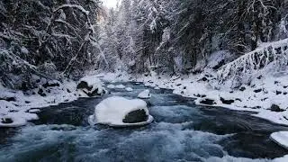 4K - Pacific Northwest Winter Scapes - Relaxation