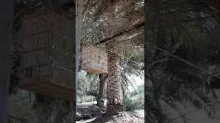 بلابيل  جبار المنصوري بصرويات