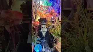Halloween Vintage Style Decorations 🎃| Roger&rsquo;s Gardens Shop CA