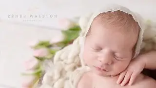 Boston Newborn Photographer - Renee Walston Photography