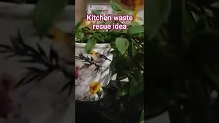 reuse kitchen waste#kitchen#resue#waste