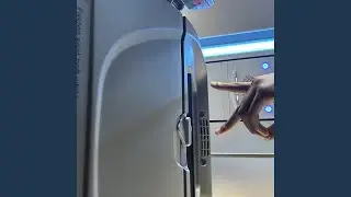 xinsanity