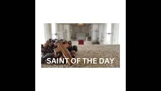 Saint Marcel - 1 November 2024