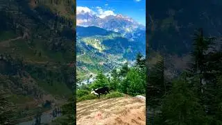 Amazing Beauty Of Kalam Valley 🏞 | #shorts #ytshorts #nature #mountains