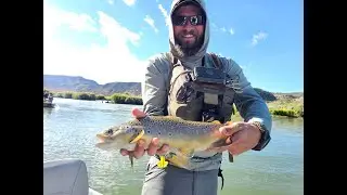 River Fly Fishing - Jig Streamers