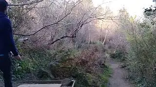 cooper's gulch