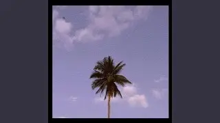 Holiday Vlog