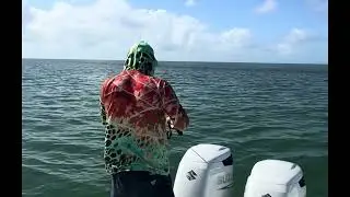 Shark Fishing With Drones