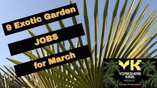 9 Exotic Garden Jobs for March