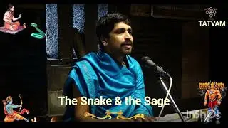 The Snake and the Sage 