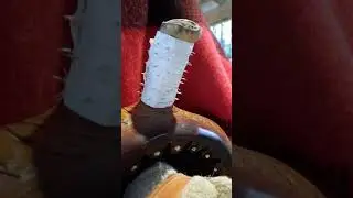 Saddle horn repellent.