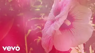 Chad Lawson - for such a gaze of wonder (solo piano)