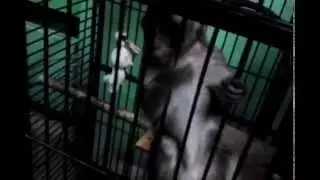 VID 20150107 195022