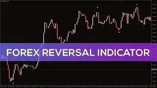 Forex Reversal Indicator for MT4 - FAST REVIEW