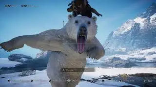 Bear of the Blue Waters - Legendary Animal Fight - Assassin's Creed Valhalla