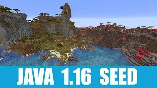 Minecraft Java 1.16 Seed: Abandoned village stands between shattered savanna and mushroom island