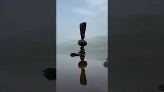 Welcome to Balance! #rockbalancing #nature #art #balancing #explore #viralvideo
