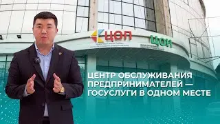 Центр обслуживания предпринимателей &mdash; госуслуги в одном месте
