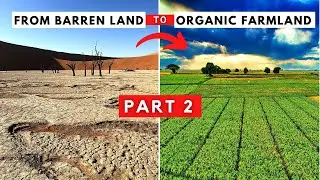 How to convert barren land into organic farmland | Part 2