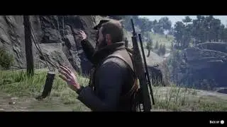Red Dead Redemption 2 what happens if you don't surrender or jump?