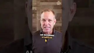 How to Get out of Reaction and Into Alignment