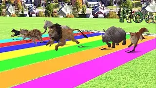 Epic Animal Race, Horse, Hound, Jaguar, Rhino, Coyote, Lion, Fox, Roar Race