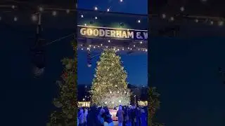 🎄🇨🇦Magical Christmas Tree at Distillery District Toronto 🎄✨