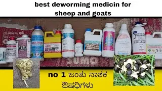Best Deworming medicine for sheep and goats  and dosage ಜಂತು ನಾಶಕ ಔಷಧಿಗಳು