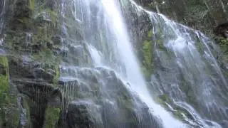 Proxy Falls