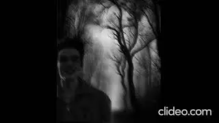 Vampire  love passion
