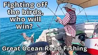 Albatross Tried to Steal My Fish! Epic Ocean Fishing Day | Great Ocean Road