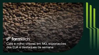 Boletim AgroVip Farmtech - 17/12/2024