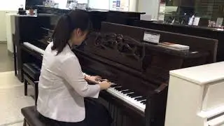 プレンバーガー PV110F