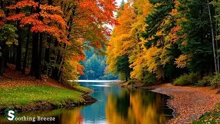 Soothing Autumn Music 🍁 Stop Overthinking, Stress Relief Melodies