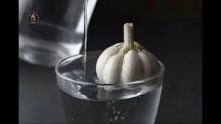 Easy way to grow garlic at home: Garlic greens in just 7 days! (Growing garlic in water at home)