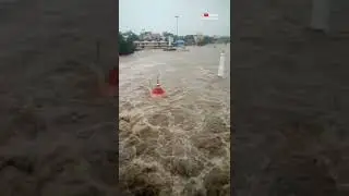 Nashik Mahapur / Panchavati Godavari Nadi Pur 2022 #trending #nashik #shorts #viral #godavari #nadi
