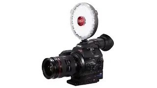 Rotolight NEO: Product Overview with Daniel Norton