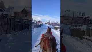 O tura cu sania trass de cal prin sat 🐎❤️🇷🇴