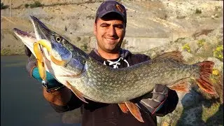 Turna Kampı Son Gününde Canavarları Bulduk / Balık Elimi Parçaladı