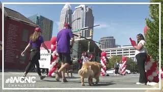 Greater Charlotte Heart Walk happening Saturday