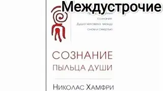 Nicholas Humphrey - Consciousness: The Pollen of the Soul. Part 0 Introduction