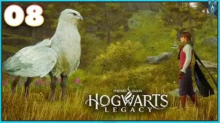 BEASTS CLASS - Hogwarts Legacy Walkthrough - Part 8 (PS5 Gameplay)