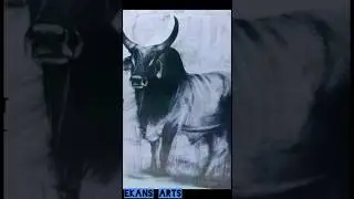 Realistic Danger BULL 🐂🐂 Drawing #shorts #short #youtubeshorts