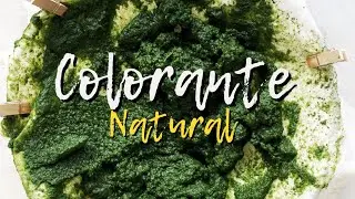 Colorantes Natural -especial hojas-