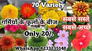 Summer Flower Seed | January February Sowing Seed | गर्मियों के फूलो के बीज | सबसे सस्ते सबसे अच्छे