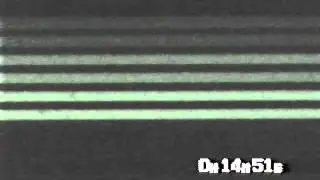 pressure flow, continuous-flow PCR chip