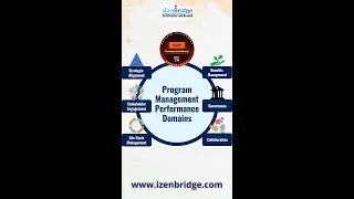 Program Management Domains for PgMP Exam: A Quick Overview
